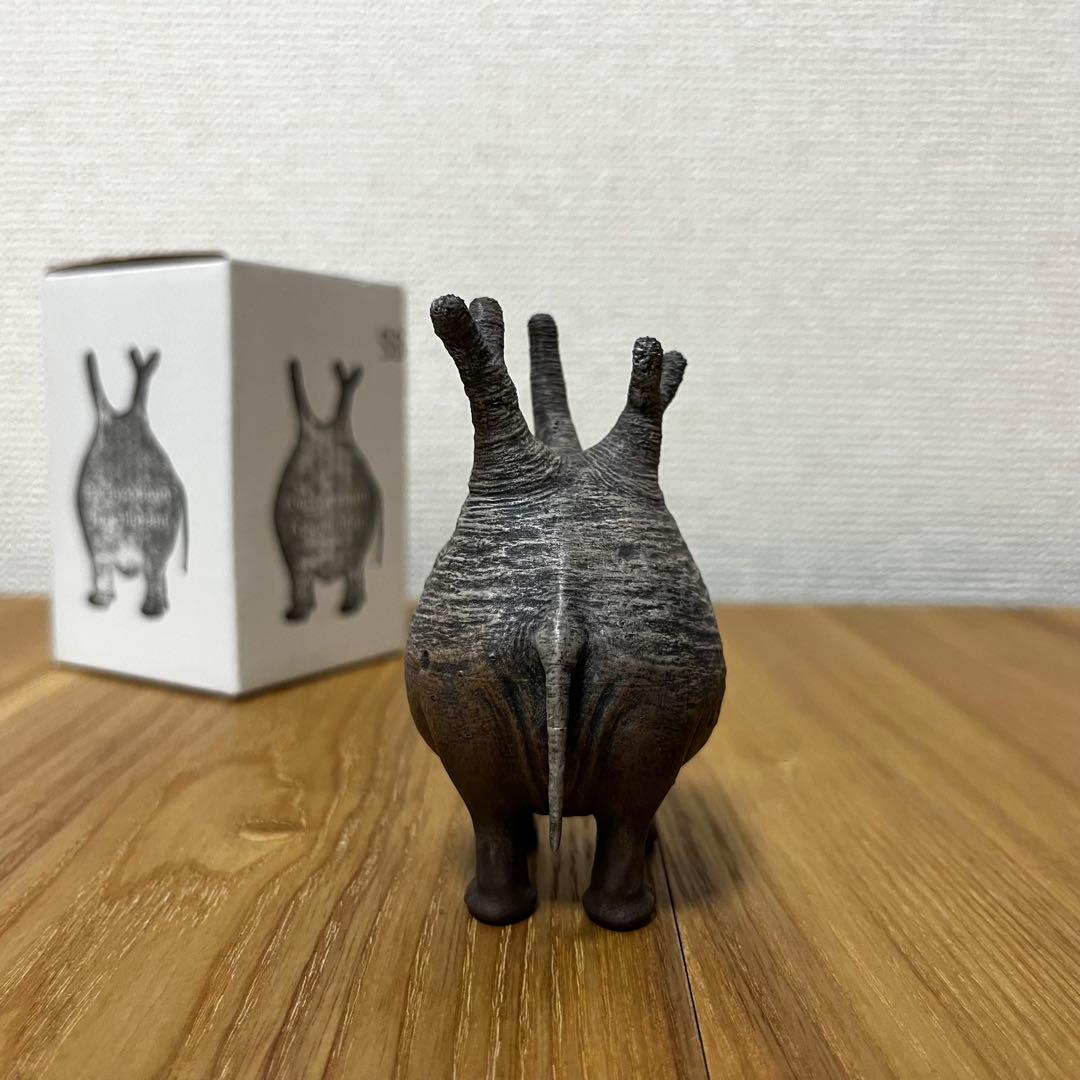 OZWRT Pachypodium Graciliphant グラキリファン