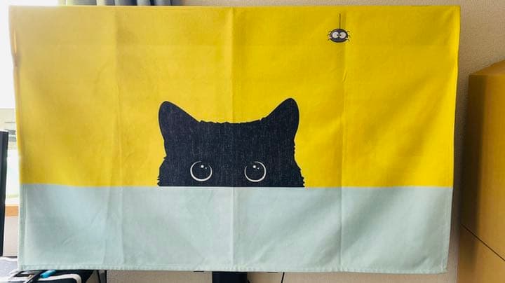 49インチSony Bravia 4K smart TV KJ-49X8500G