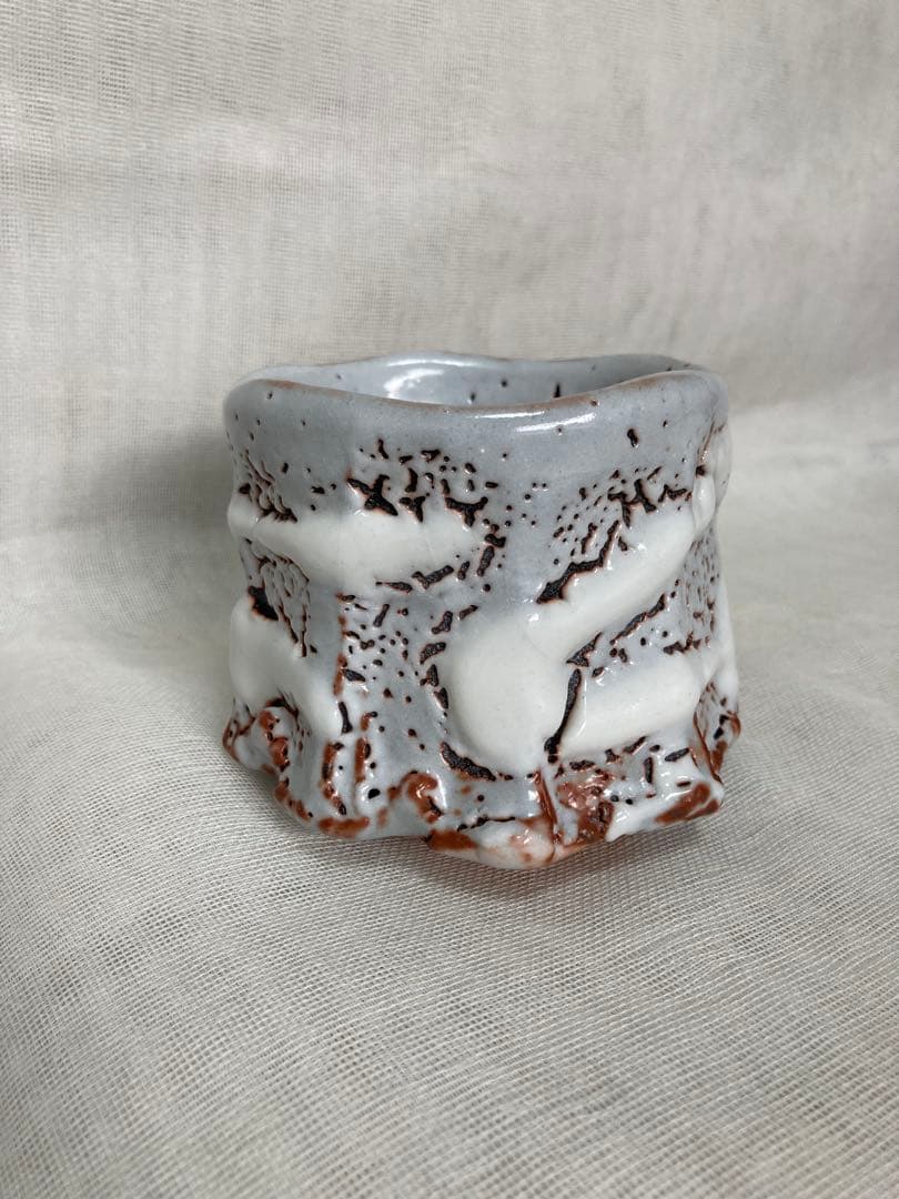 木戸貞昭／鼠志野茶碗／B37