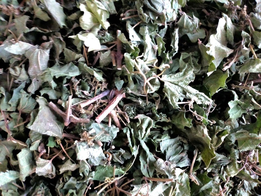 【陰干し自然乾燥　健康馬ブドウ茶】野ぶどう茶　１kg　発送日に新鮮袋詰め❗️