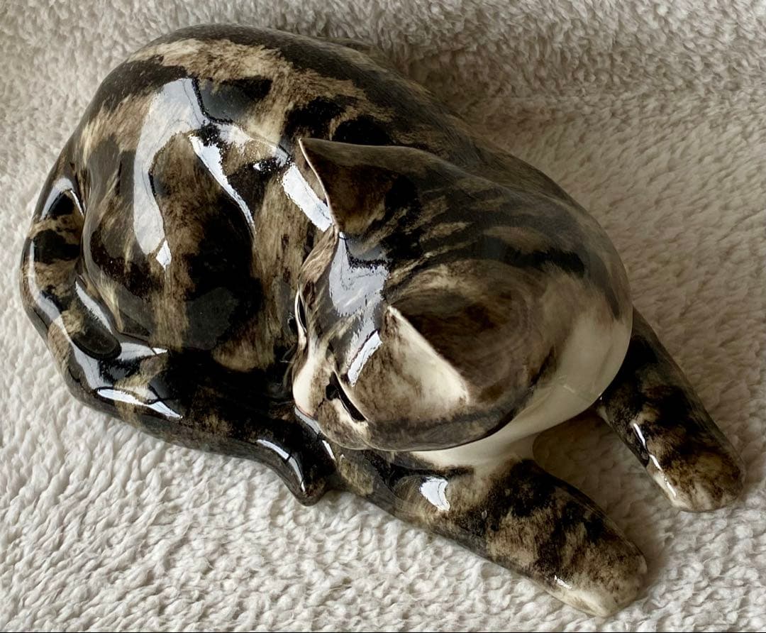 サイズ5 ウィンスタンレイキャット ケンジントンキャット 黄緑色の瞳 キジトラ猫