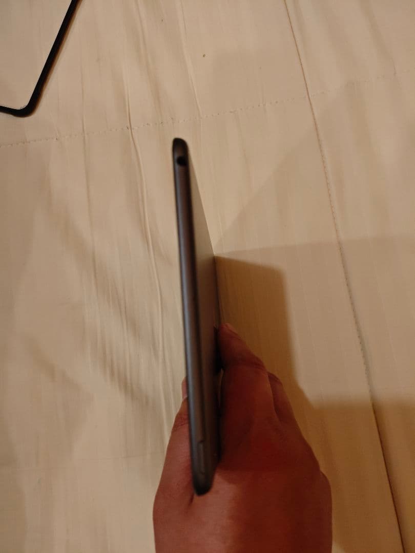 iPad mini (第5世代) 本体　256gモデル