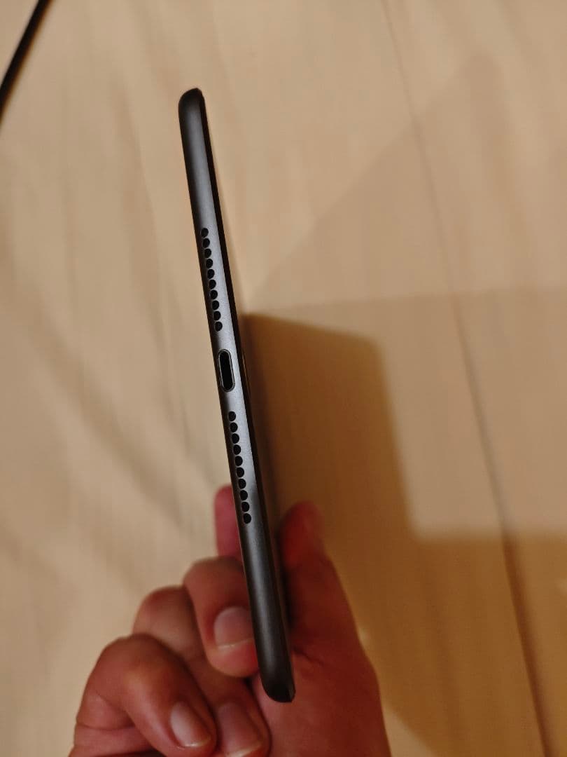 iPad mini (第5世代) 本体　256gモデル