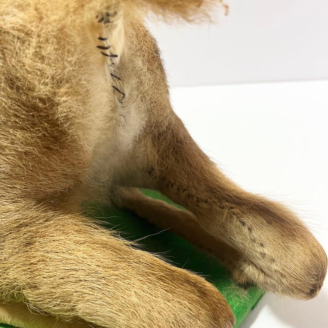 剥製 小鹿 子鹿 ニホンジカ 置き物 ヴィンテージ バンビ インテリア オブジェ