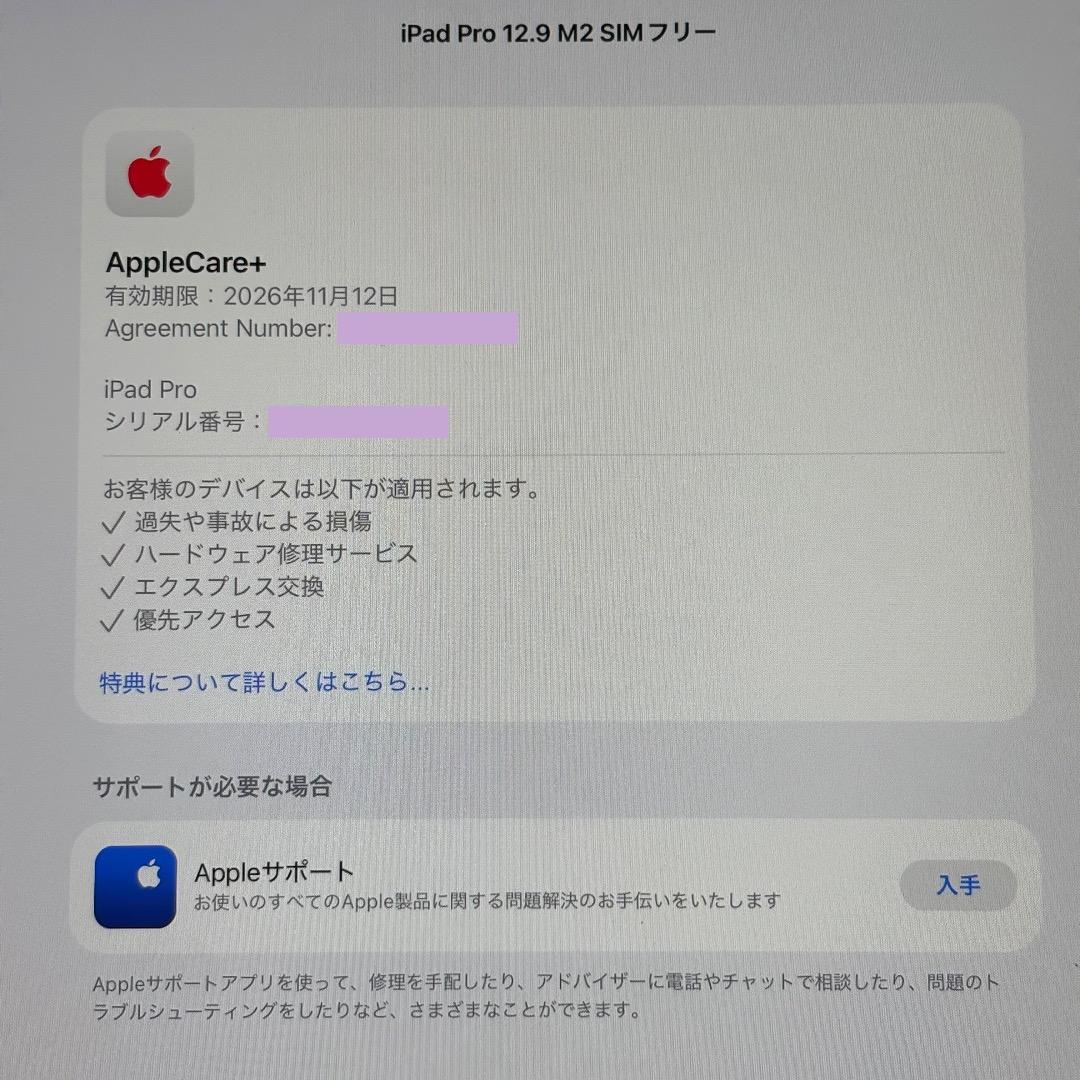 iPad Pro 12.9インチ M2 1TB SIMフリー