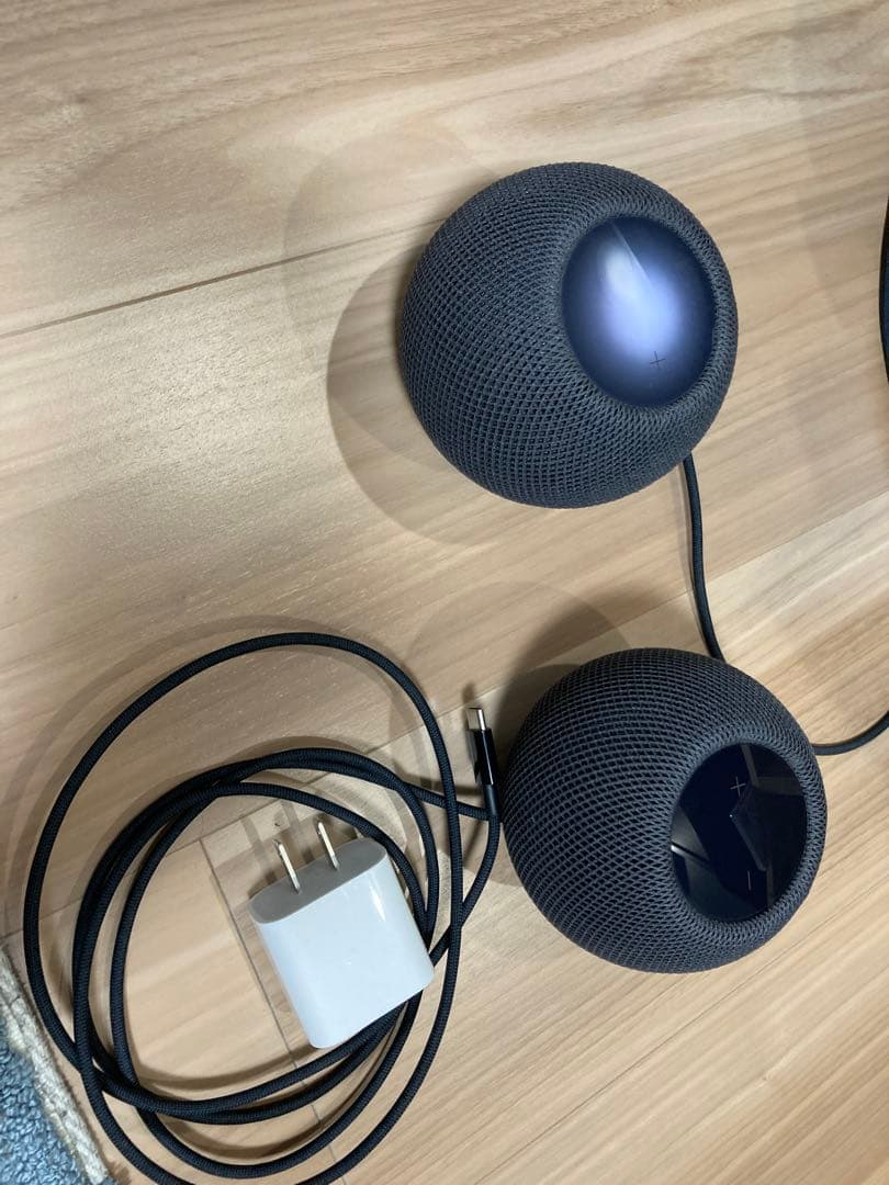 ペンギンApple Pod mini スペースグレー 2個セット