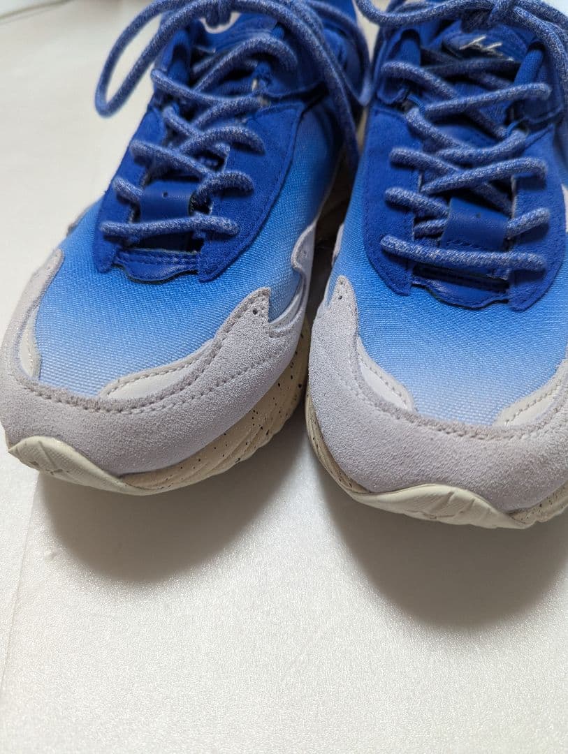 永井博×ミズノ　ウェーブライダー　ベータ