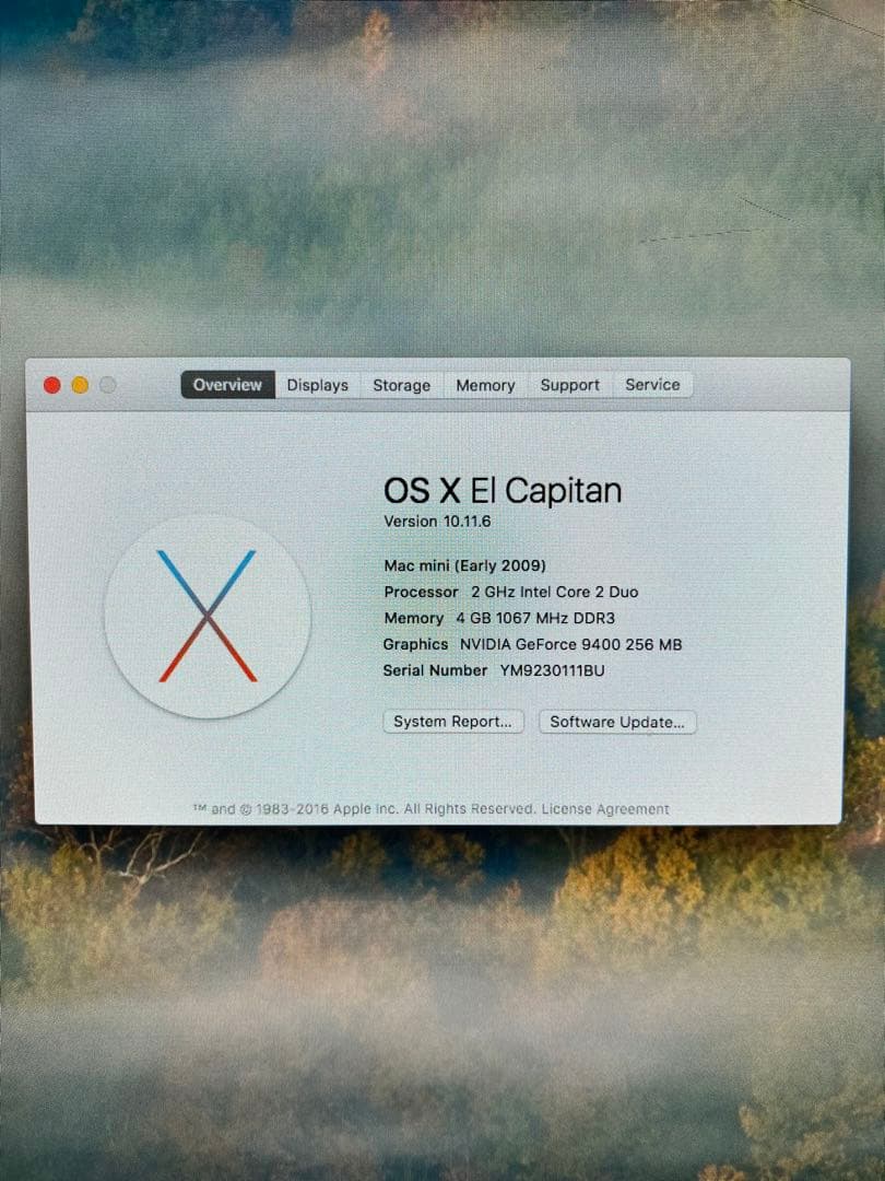 Macデスクトップ Mac Mini (2009)+ Apple Cinema HD Display