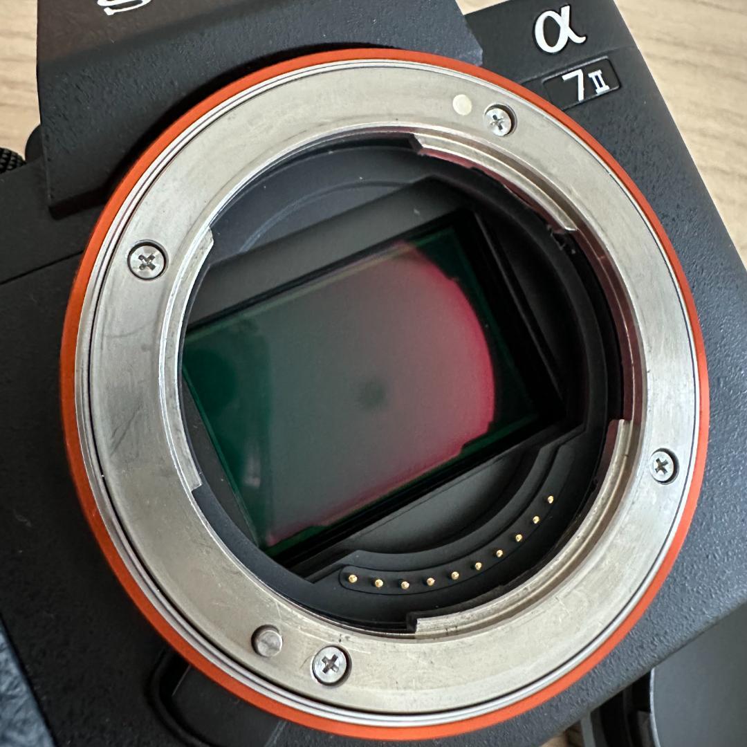 SONY α7 II【シャッター12,226回】本体＋純正ボディケース