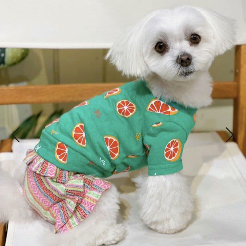 直営店限定2枚セット NC☆フレッシュORTasknowasdewan