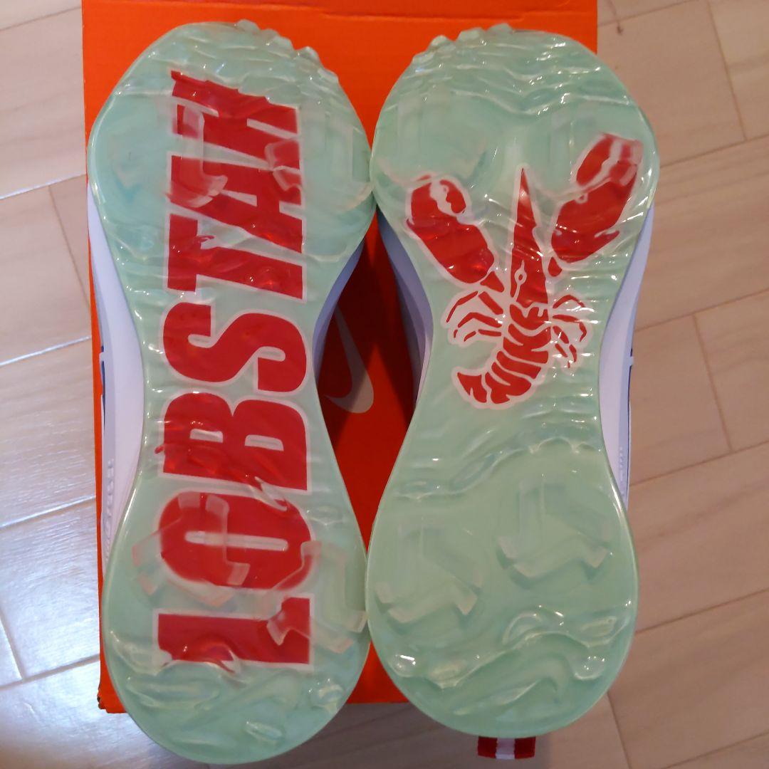 値下げ【限定】NIKE エアズームインフィニティツアーNEXT% 26.5cm②