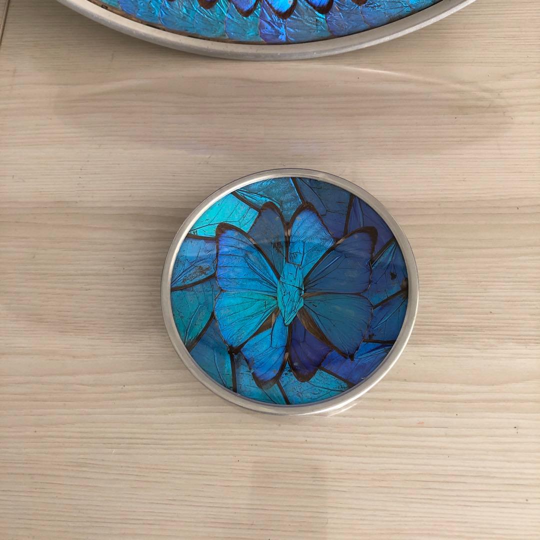 モルフォ蝶　飾り皿　標本　壁飾り　壁掛け