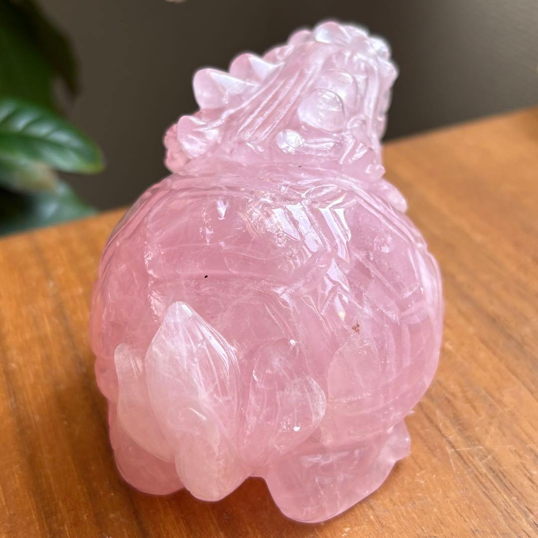 高品質 マダガスカル産 龍亀（ロングイ）置物490g