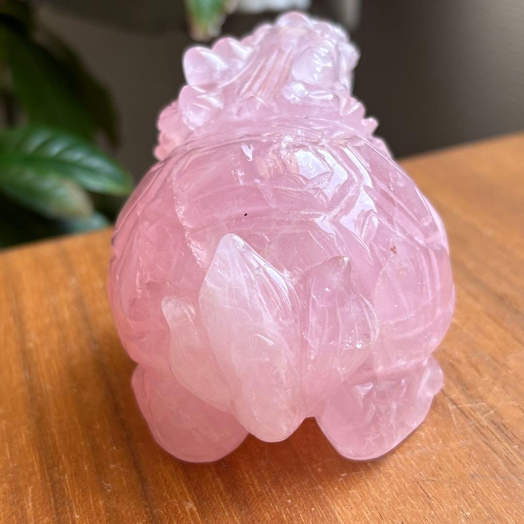 高品質 マダガスカル産 龍亀（ロングイ）置物490g