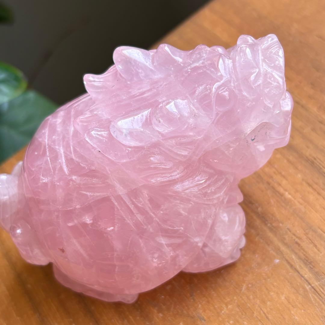 高品質 マダガスカル産 龍亀（ロングイ）置物490g