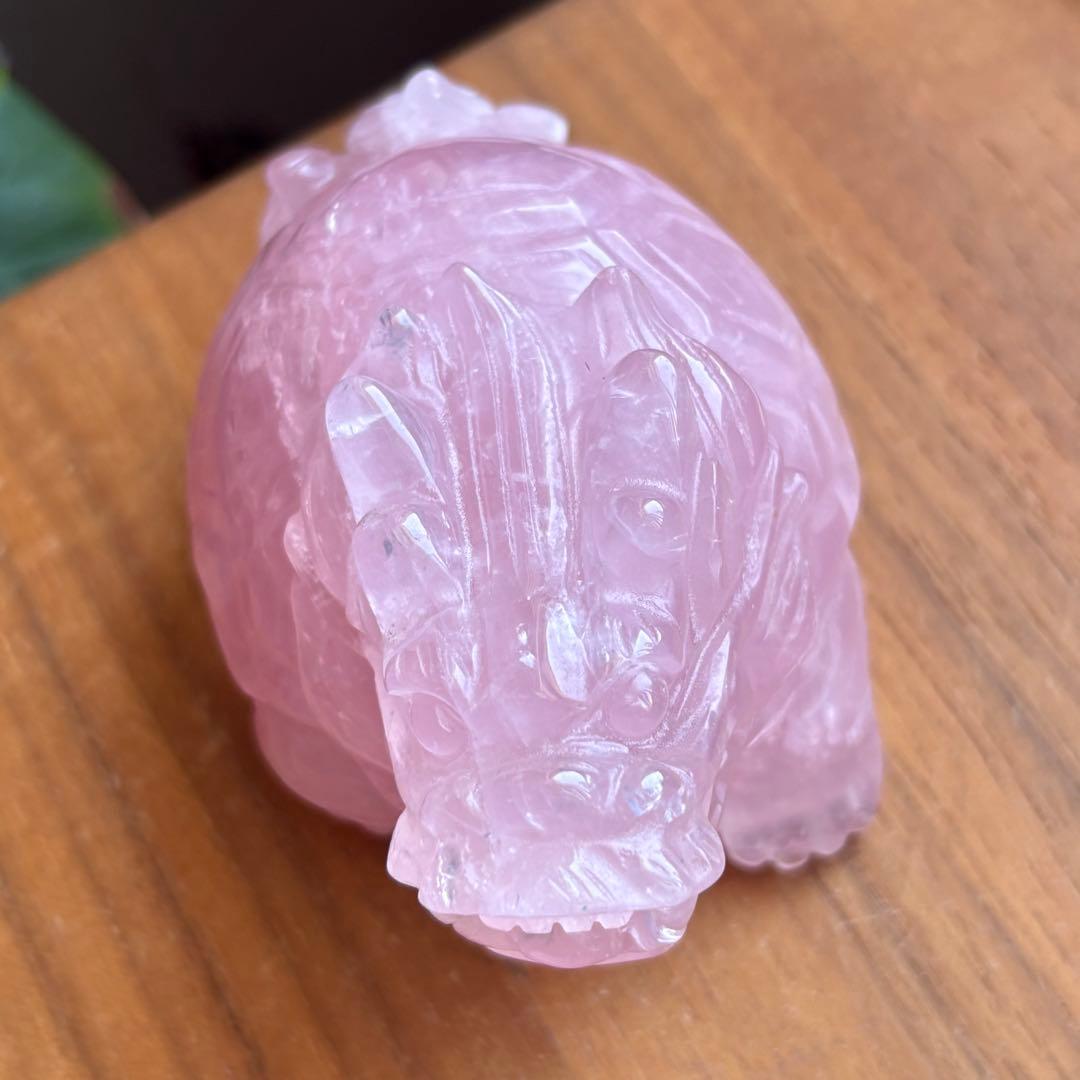 高品質 マダガスカル産 龍亀（ロングイ）置物490g