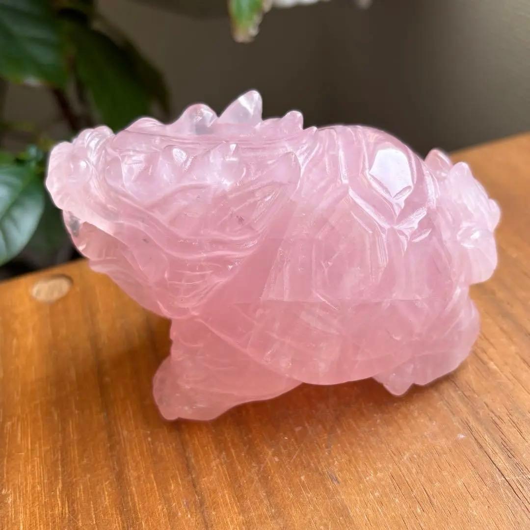 高品質 マダガスカル産 龍亀（ロングイ）置物490g