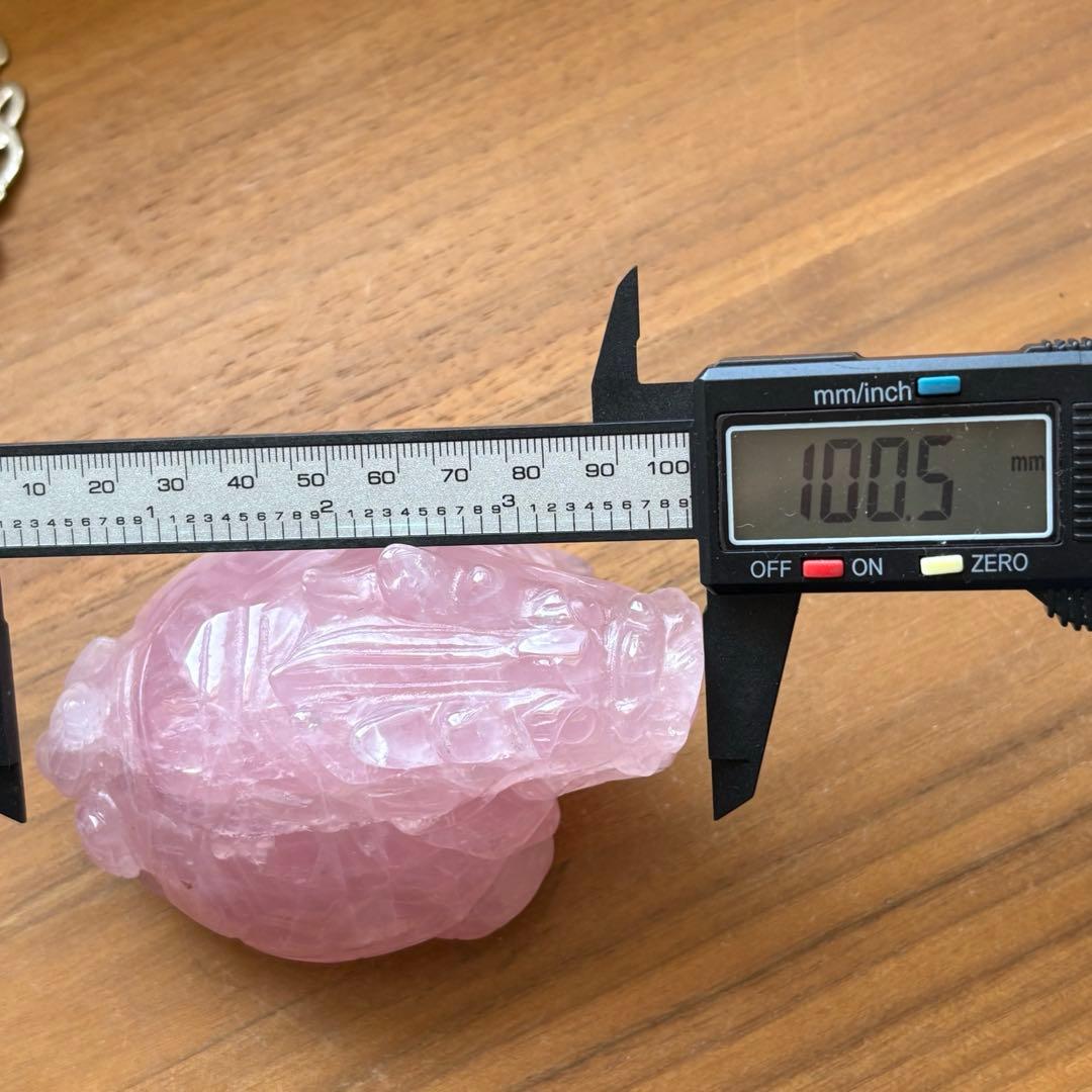 高品質 マダガスカル産 龍亀（ロングイ）置物490g