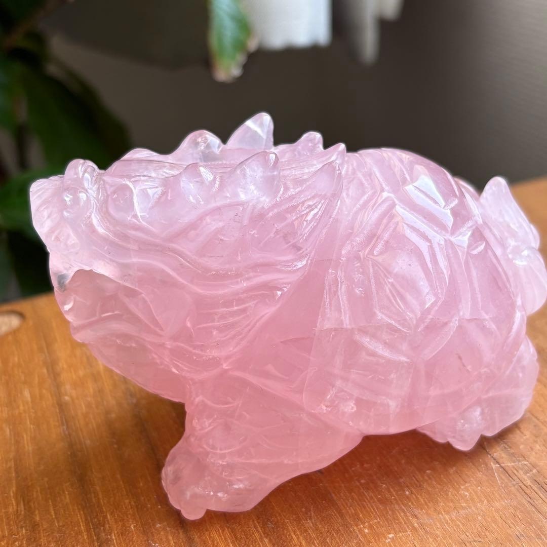 高品質 マダガスカル産 龍亀（ロングイ）置物490g