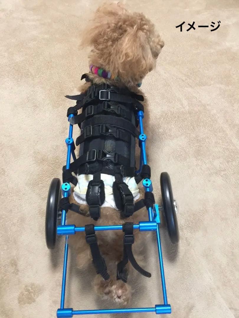 介護　リハビリ犬用車椅子