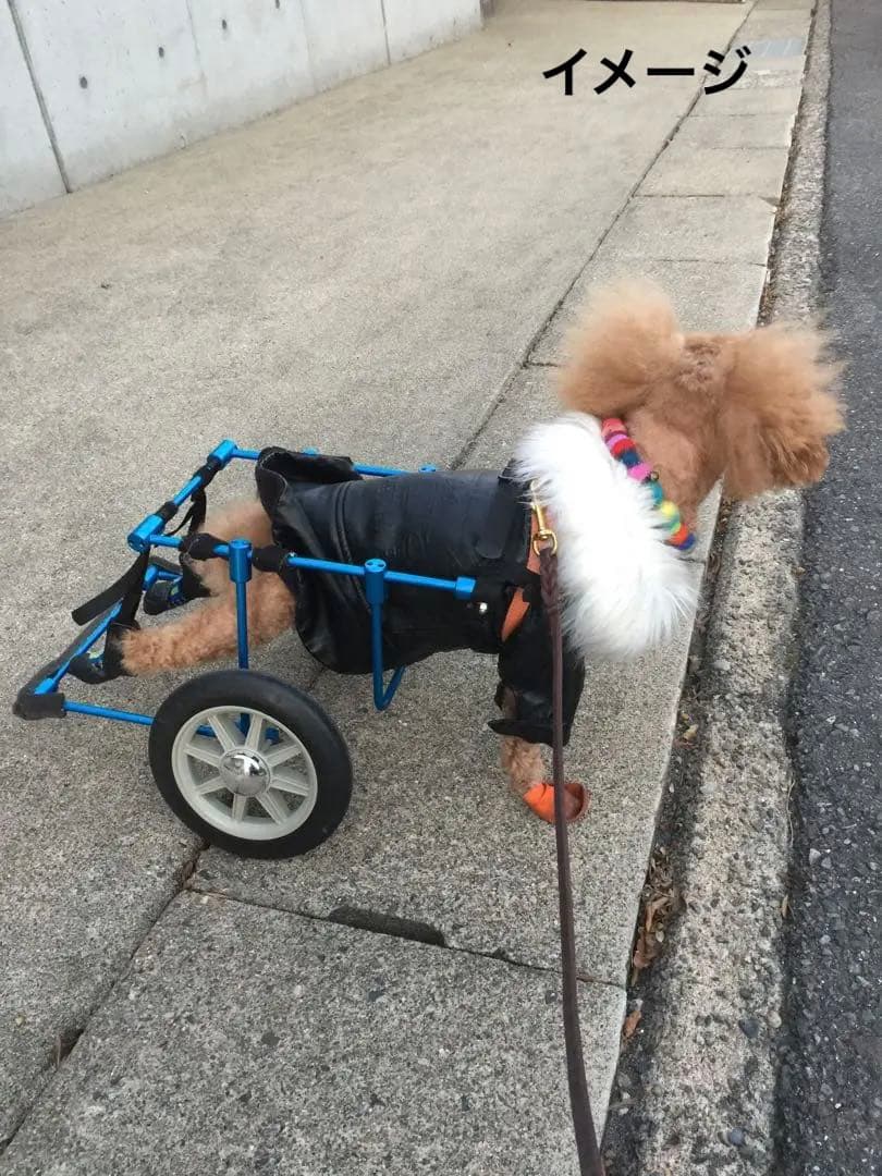 介護　リハビリ犬用車椅子