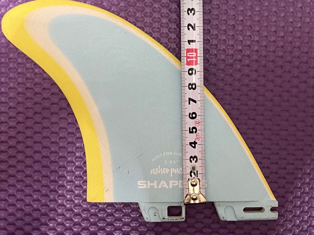 アッシャー・ペイシー fc2 ツインフィン