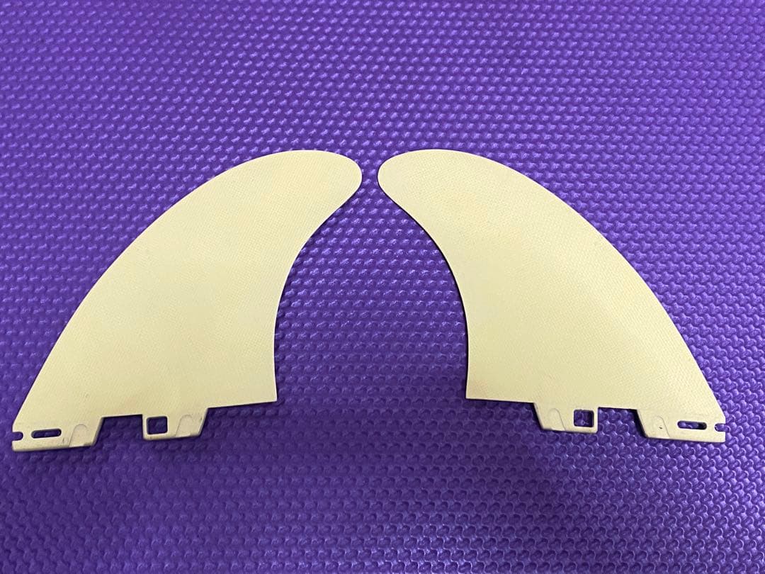 アッシャー・ペイシー fc2 ツインフィン