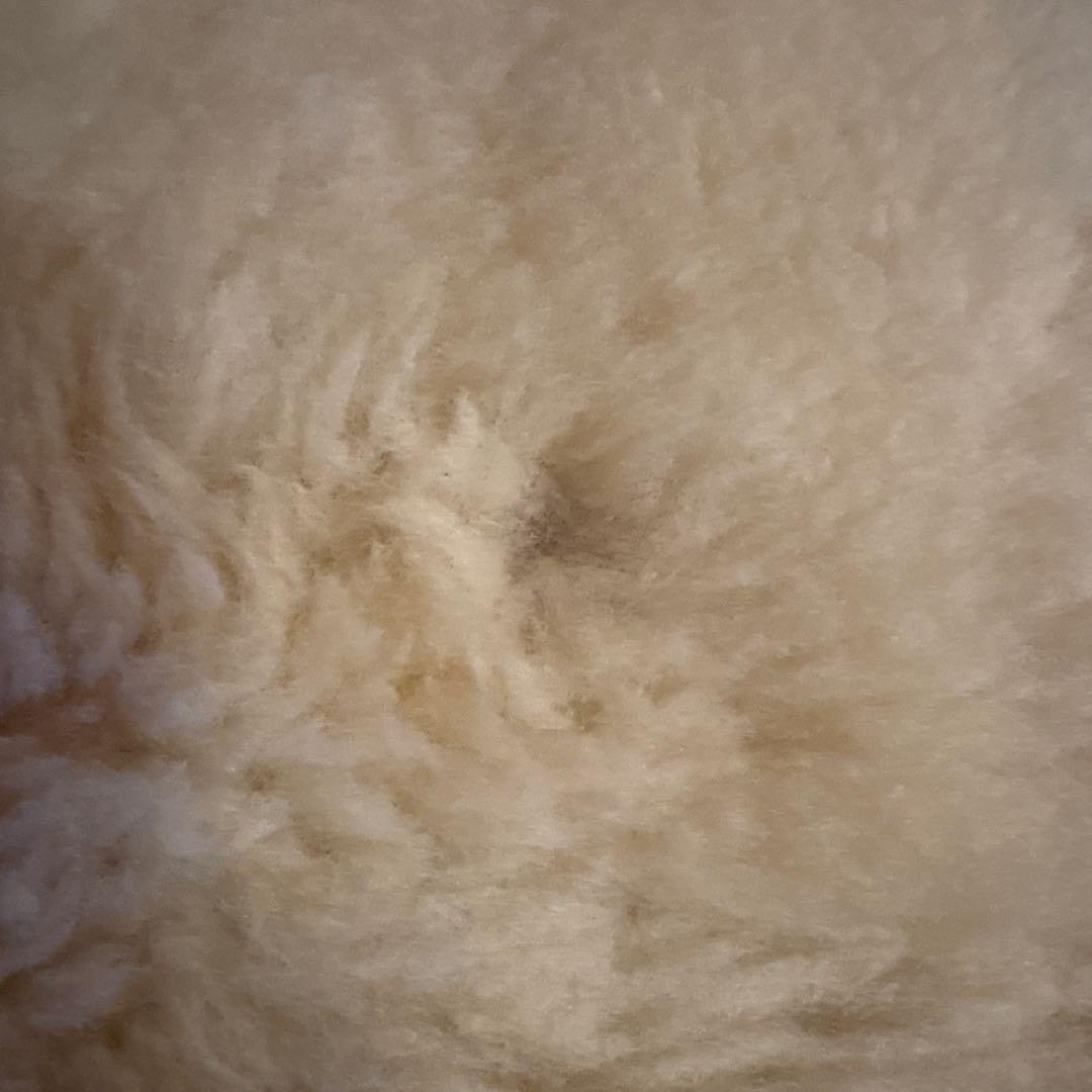 昭和西川 ムートン素材 ベッドパッド