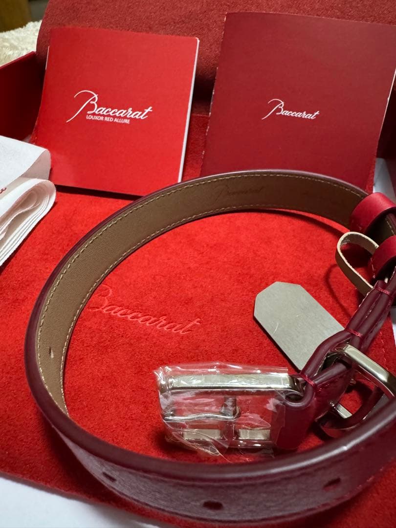 Baccarat バカラ ルクソール レッドアリュール ペットカラー