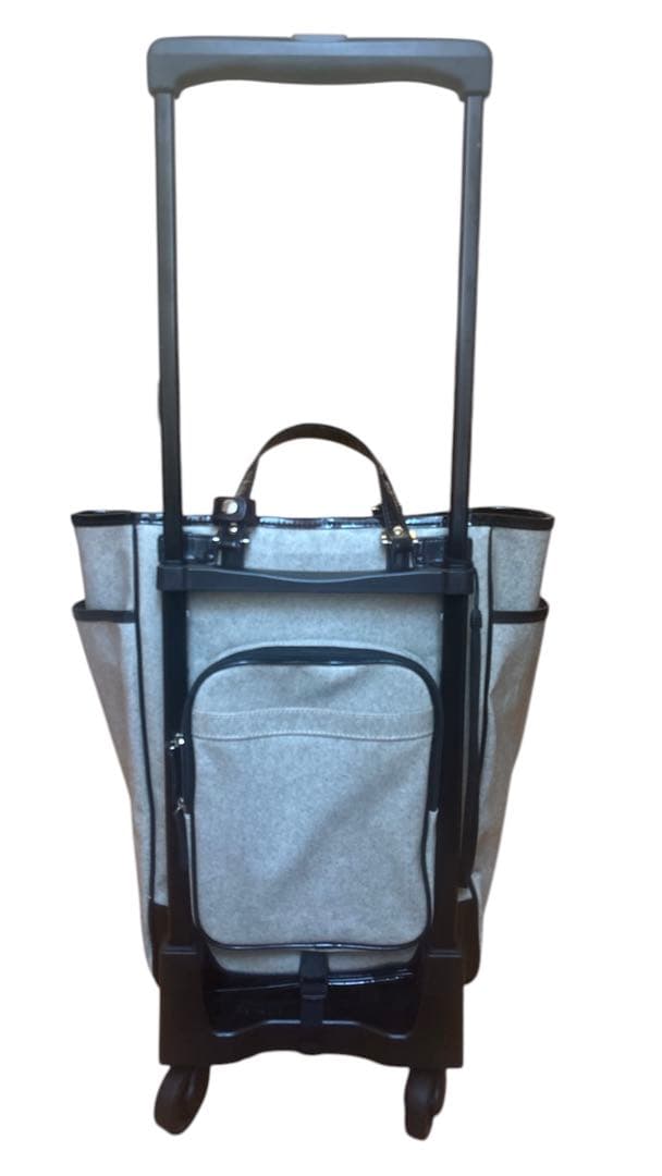 SWANY キャリーカート 、ケース