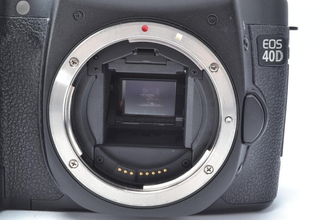 美品✨ハイアマチュアモデル✨Canon EOS 40D✨標準レンズセット✨