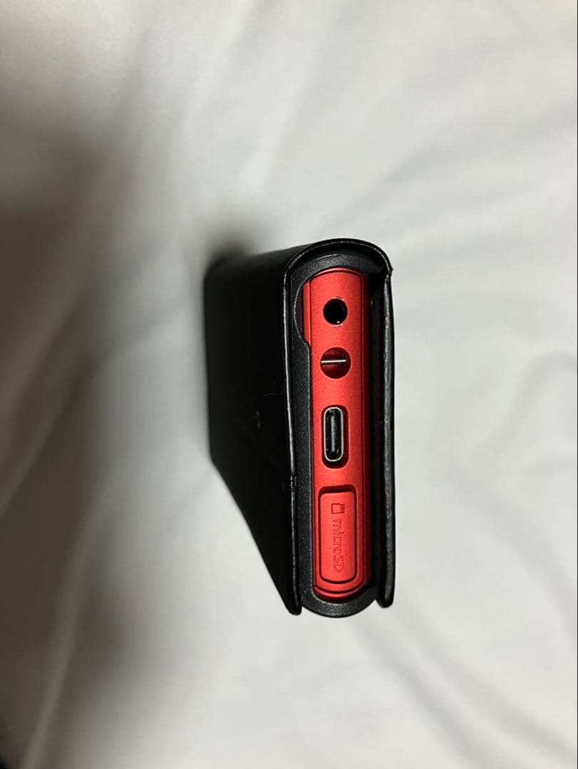 SONY ウォークマン(WALKMAN)NW-A106 ケース付