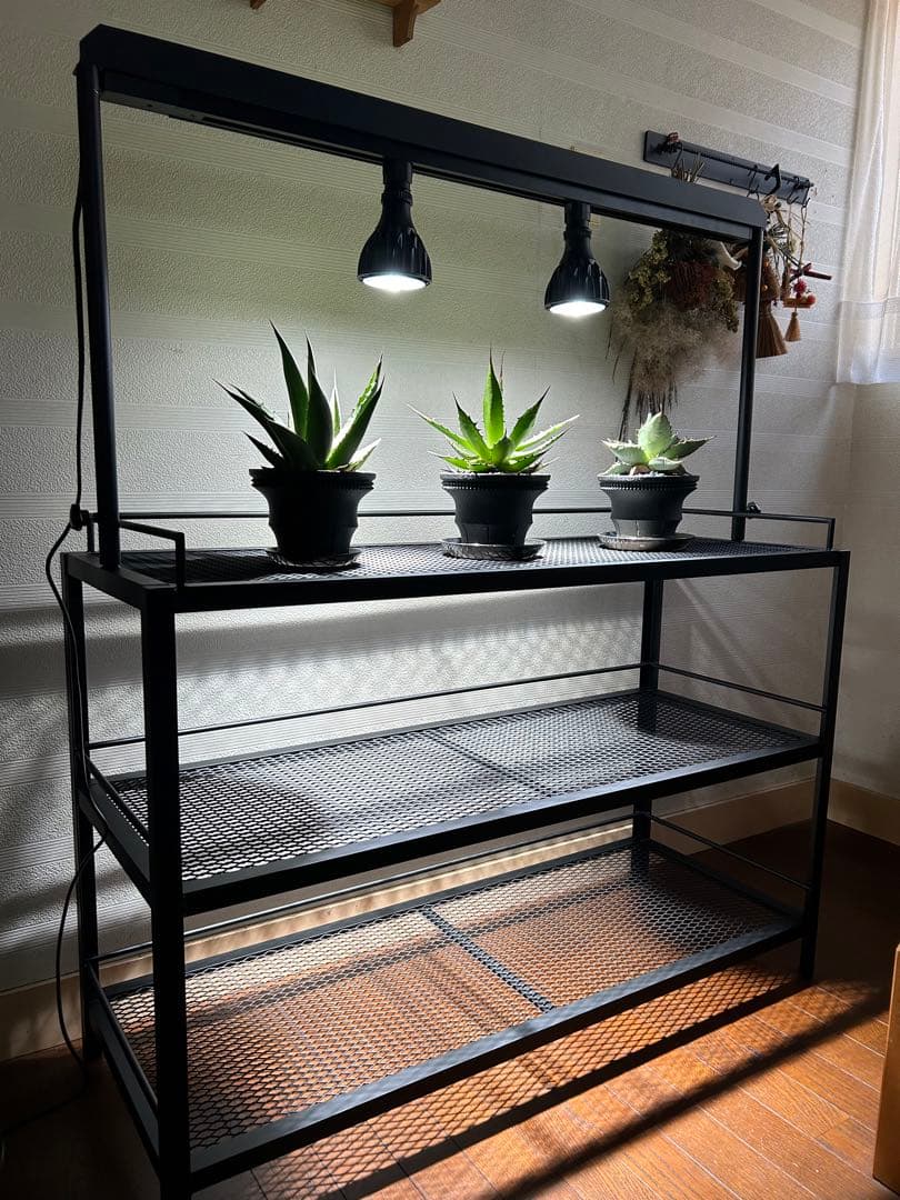 ☆送料込み☆アイアン植物棚　即購入OK ライトレール付　ボタニカル　アガベ