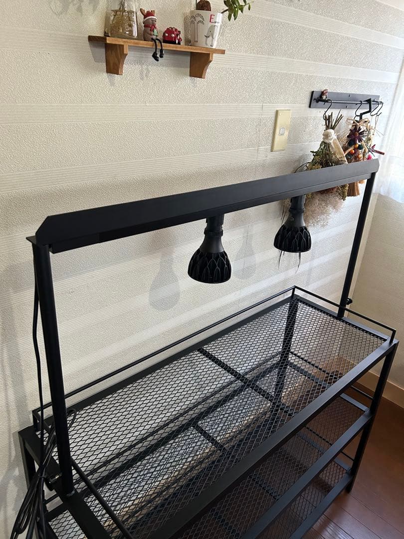 ☆送料込み☆アイアン植物棚　即購入OK ライトレール付　ボタニカル　アガベ