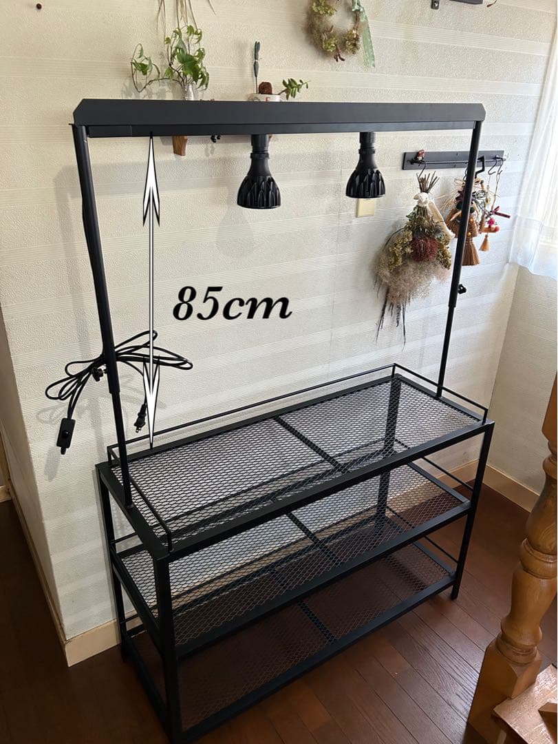 ☆送料込み☆アイアン植物棚　即購入OK ライトレール付　ボタニカル　アガベ