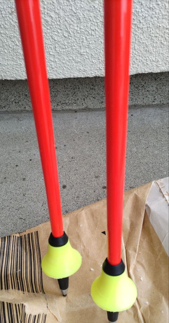 LEKI WCR GS CARBON GS カーボン 3Dポール 120cm