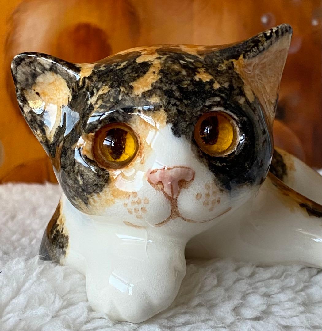サイズ2　ウィンスタンレイキャット　ケンジントンキャット　三毛猫仔猫