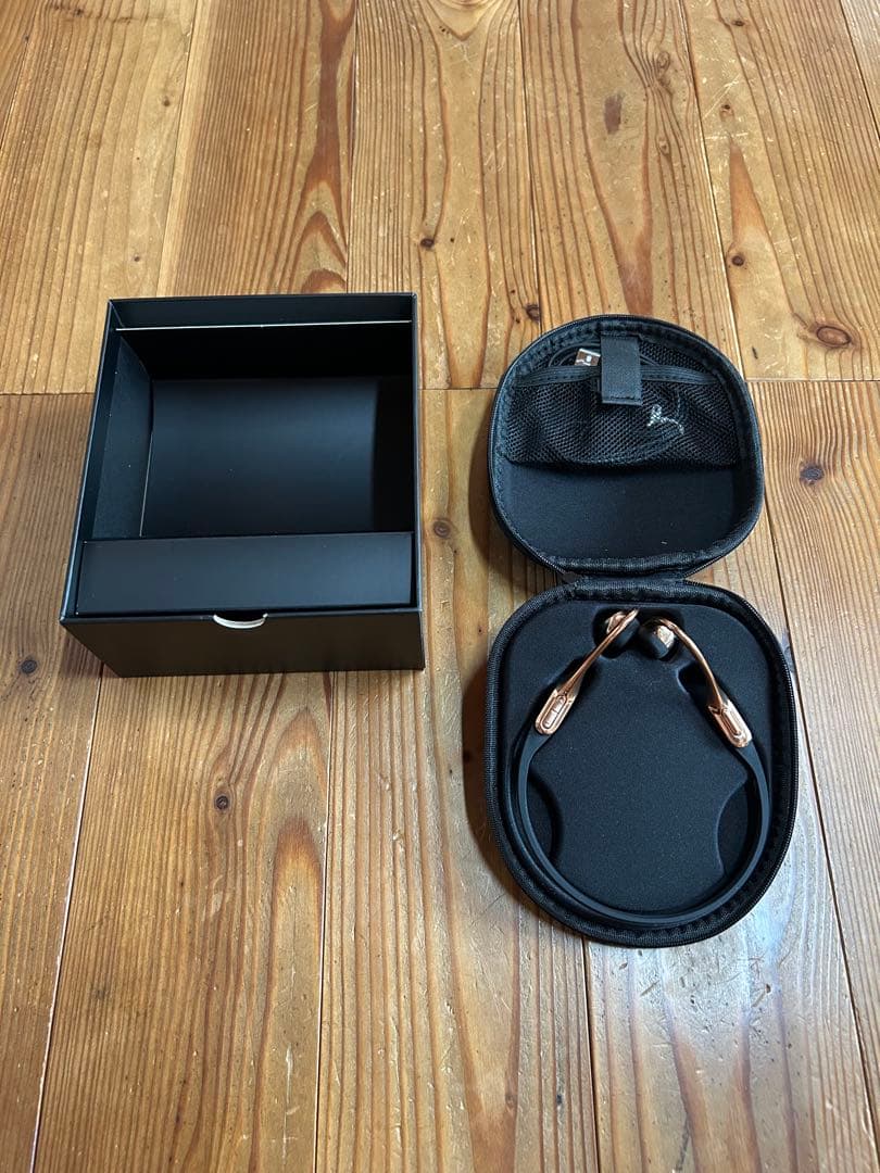 AVIOT WB-E1M 骨伝導 ヘッドセット ブルブームマイク同梱