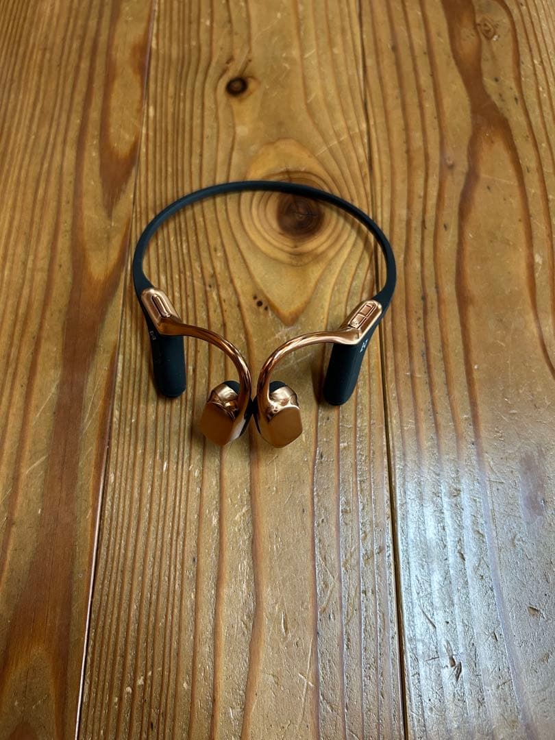 AVIOT WB-E1M 骨伝導 ヘッドセット ブルブームマイク同梱