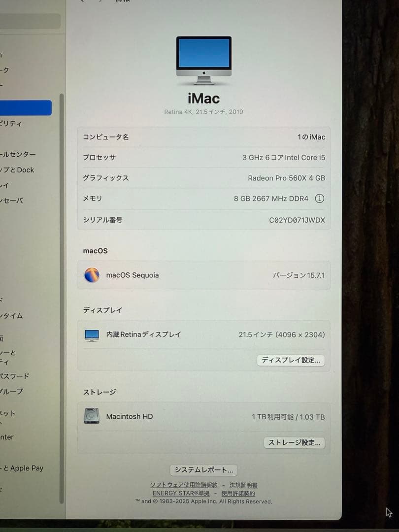 iMac Retina 4K 21.5インチ 2019 i5 8GB