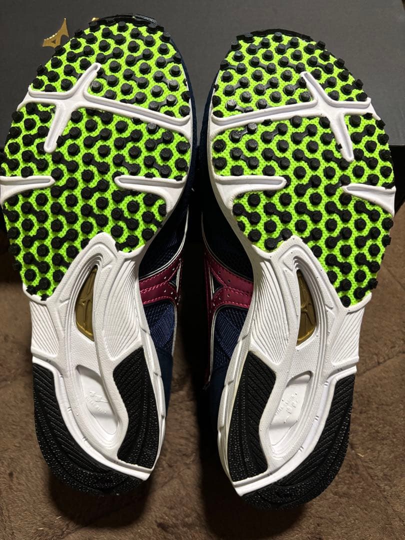 【新品】ミズノ オーダーシューズ ウェーブ クルーズ 24.5cm