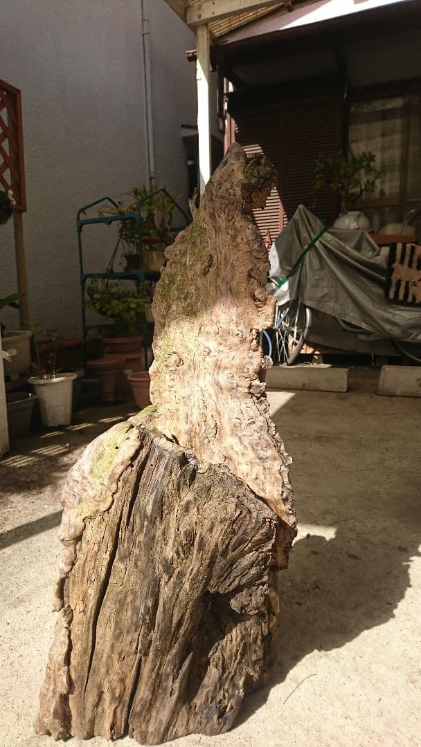 猿の腰掛けが覆われている、木の置物