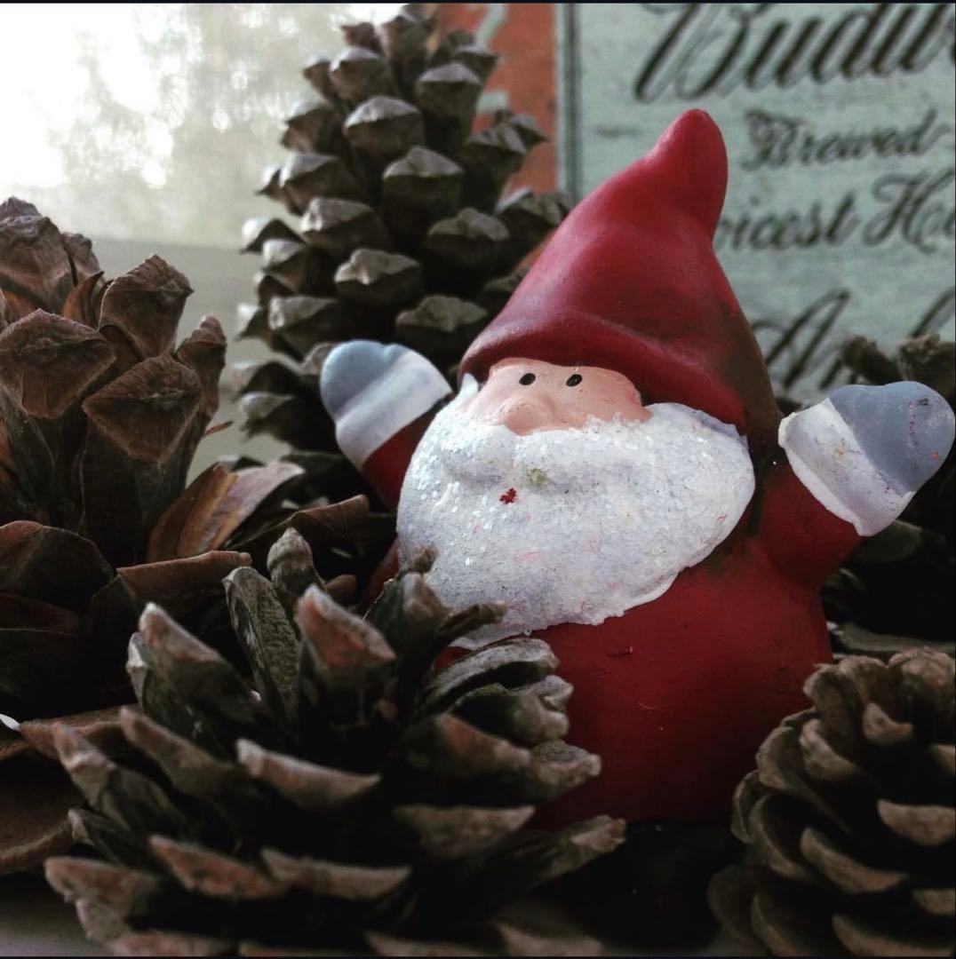 OLYMPUS 単焦点レンズ 25mm F1.8 レンズプロテクト付き