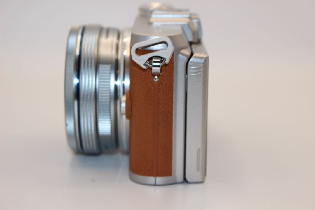 へるべると・ふぉん・かすぺん様　★ショット数918回★ オリンパス　E-PL8