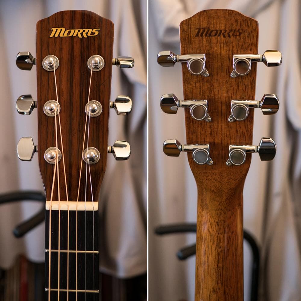 MORRIS F-01 2002年 極美品コンパクト