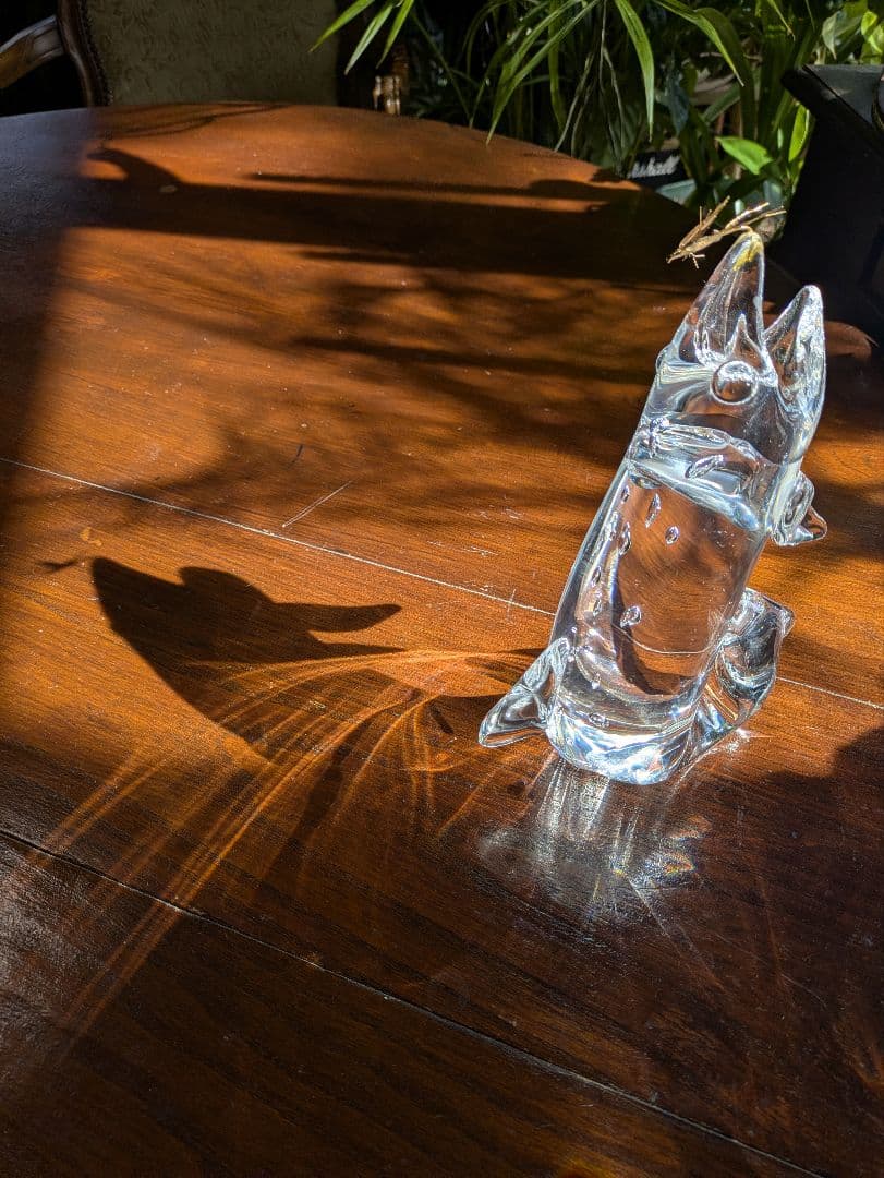 廃盤 STEUABEN Trout & Fly　希少 クリスタル 金　　訳あり