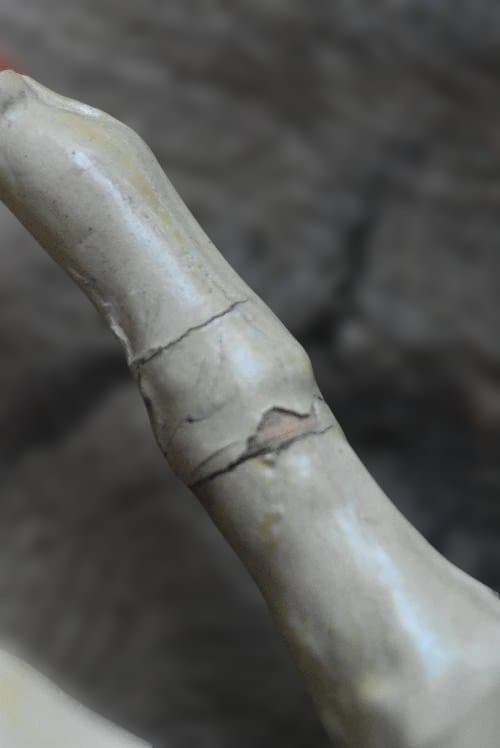 フランスアンティーク馬のオブジェ　西洋民藝　ジャンク品