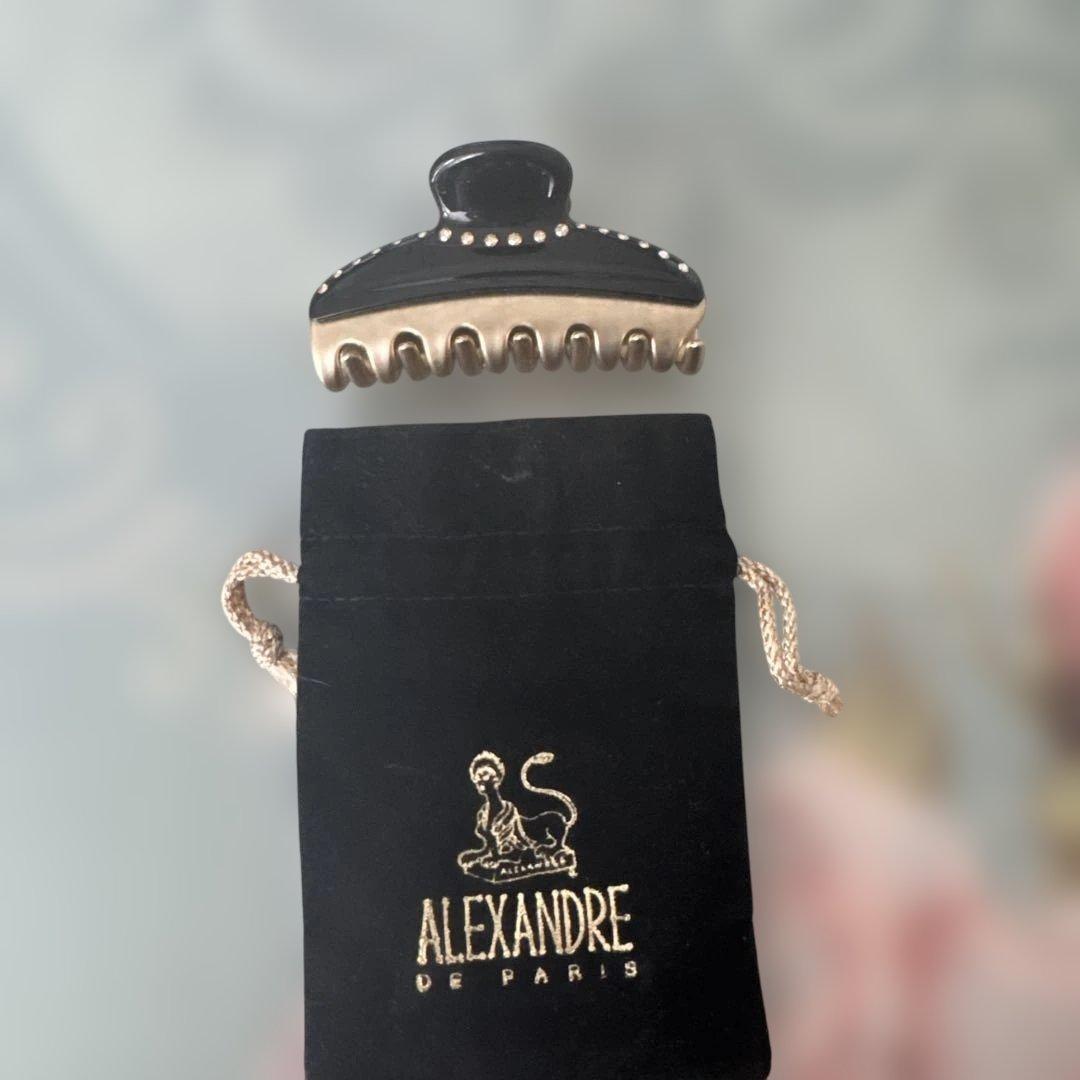 美品ALEXANDRE DE PARIS ヘアクリップ 黒