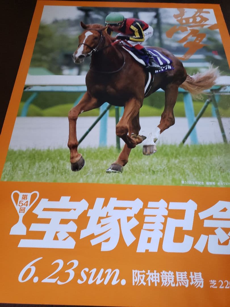 JRAポスター「2013年第54回宝塚記念」 オルフェーヴル