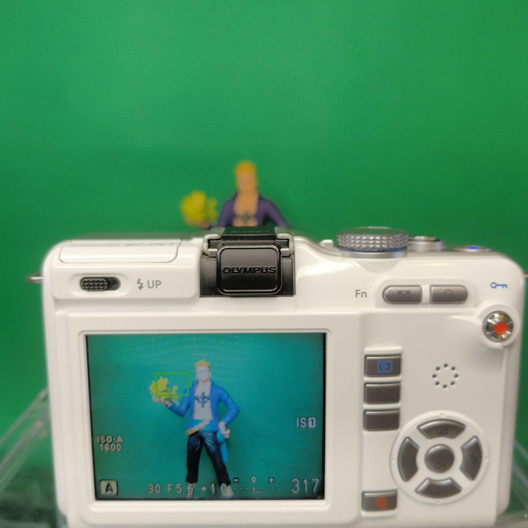 【シャッター回数 2375回】OLYMPUS オリンパス PEN E-PL1